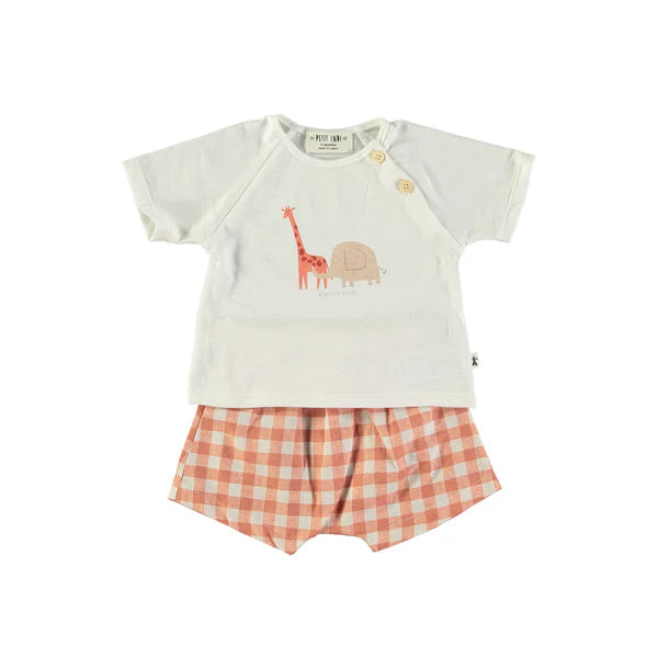 Completo safari - Petit Indi