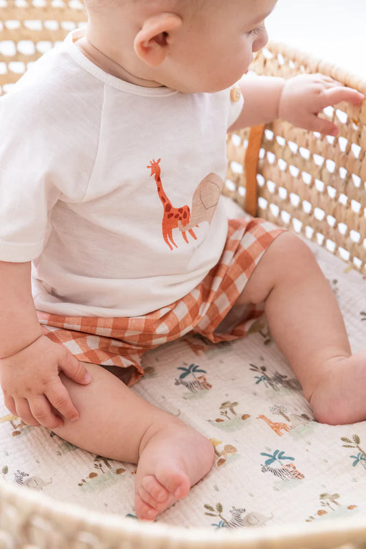 Completo safari - Petit Indi