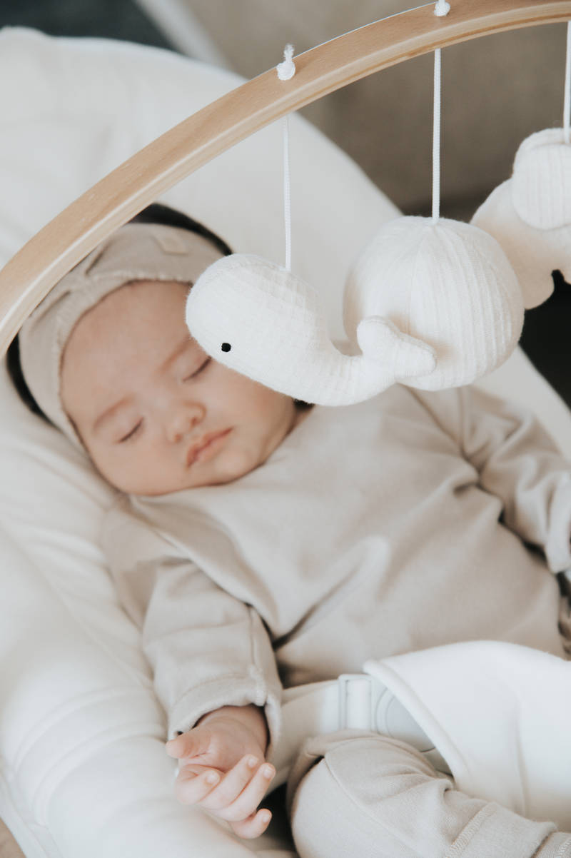 Toy bar for Baby Bouncer